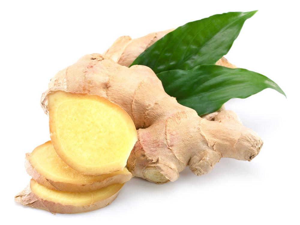 GINGER - Image 2