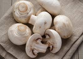 MUSHROOMS - Image 3
