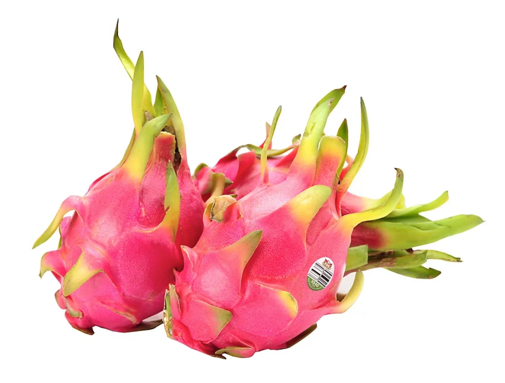RED DRAGON FRUIT - Image 2