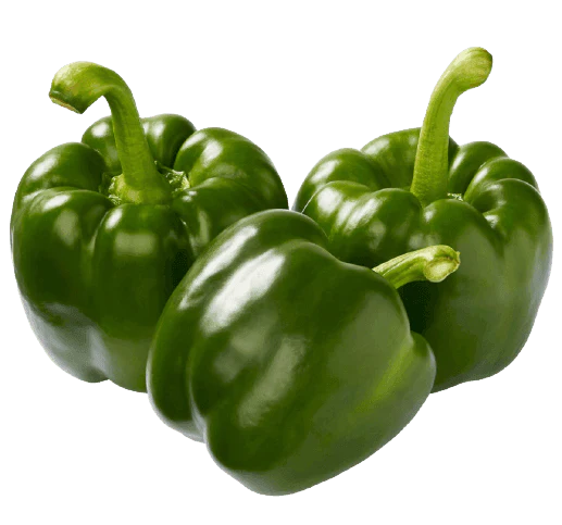 SOFRITO BUNDLE - Image 6
